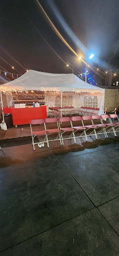 Ice Fantasy Skating Rink 20250727 115728 007