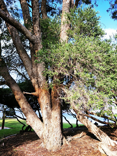 J H Abrahams Reserve Playground 20250824 021628 012