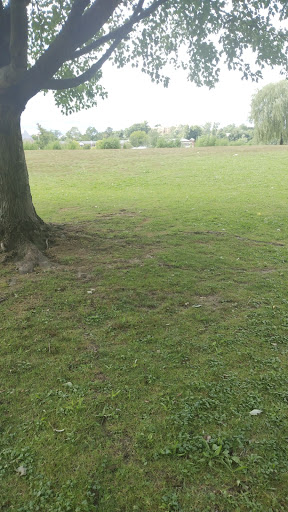 Jack s Friendship Garden 20250727 124358 002