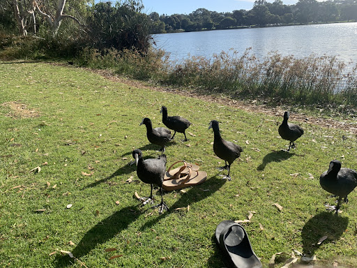 Jackadder Lake Reserve Playground 20250824 021235 012
