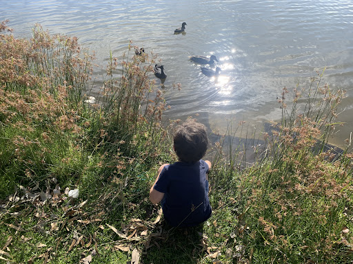Jackadder Lake Reserve Playground 20250824 021236 013