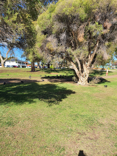 Jackadder Lake Reserve Playground 20250824 021242 020