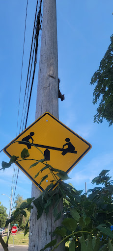 James Park 20250727 033937 002