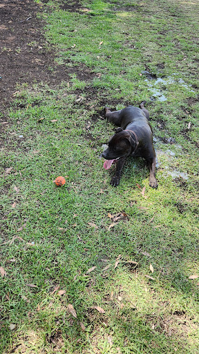 Joan Rycroft Reserve Playground 20250824 020406 002