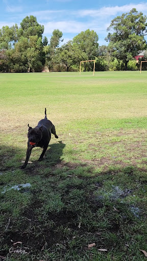 Joan Rycroft Reserve Playground 20250824 020407 003