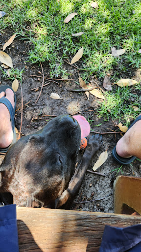 Joan Rycroft Reserve Playground 20250824 020408 004