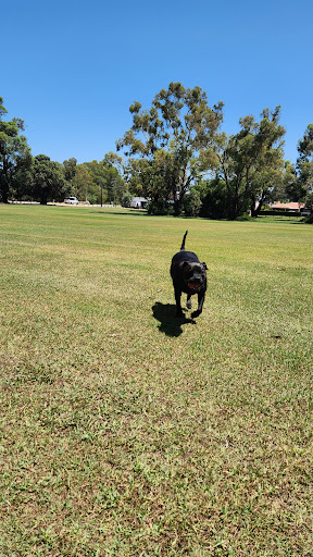 Joan Rycroft Reserve Playground 20250824 020409 005