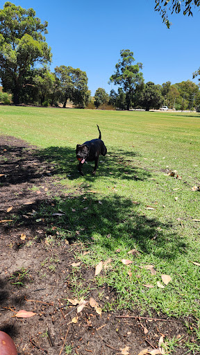 Joan Rycroft Reserve Playground 20250824 020409 006