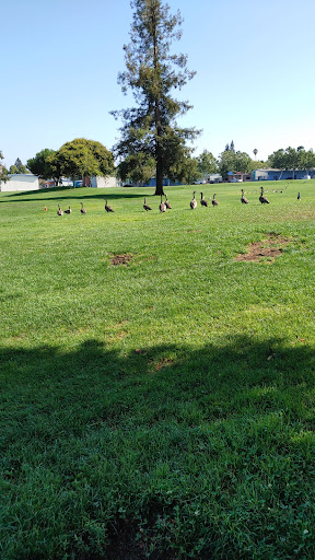 John D Morgan Playground 20250727 104928 007