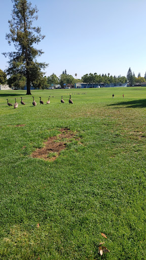 John D Morgan Playground 20250727 104929 008