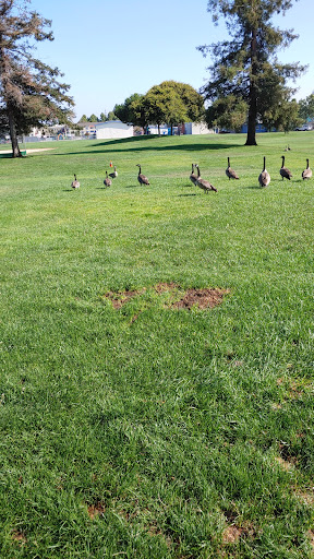 John D Morgan Playground 20250727 104930 009