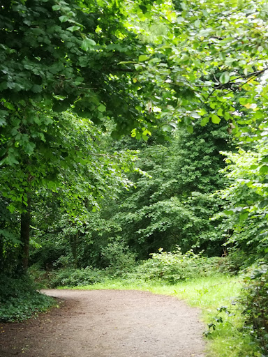 John O Sullivan Park Lees Road Sports and Amenity Park 20250819 225600 004