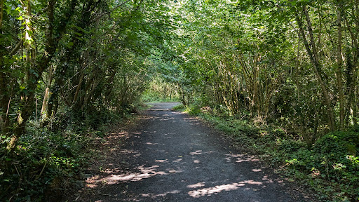 John O Sullivan Park Lees Road Sports and Amenity Park 20250819 225603 007