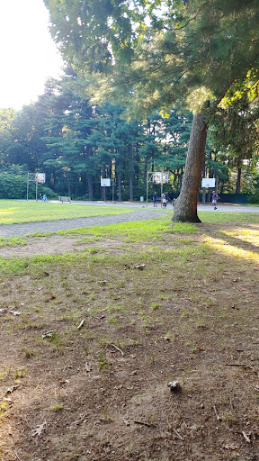 John P Denicola Park 20250727 132403 001