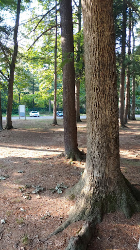 John P Denicola Park 20250727 132404 002