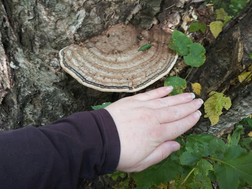 Johns Park Playground 20250727 094546 005