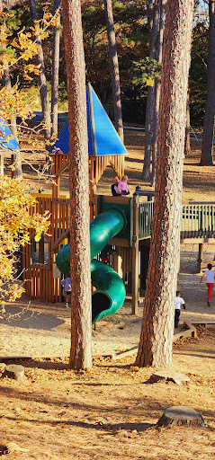 Jones Park Playground 20250726 222610 002
