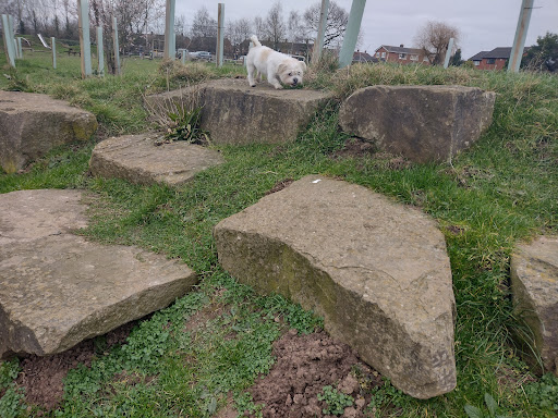 Jubilee Field 20250808 170715 003