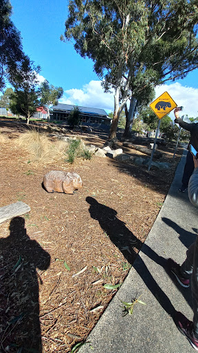 Jubilee Park Adventure Playground 20250824 030841 003