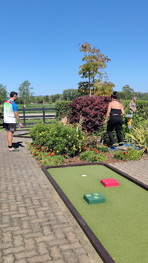 Julians Berry Farm and Caf 20250818 164811 001