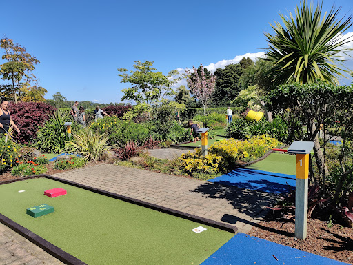 Julians Berry Farm and Caf 20250818 164816 007