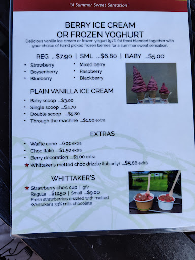 Julians Berry Farm and Caf 20250818 164817 008