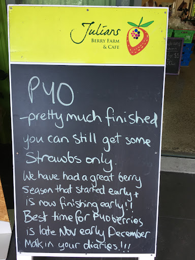Julians Berry Farm and Caf 20250818 164828 019