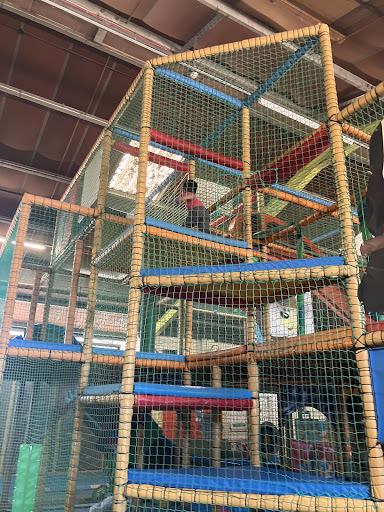 Jungle Jeans 20250808 200457 005