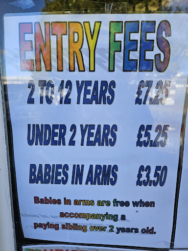 Jungle Jeans 20250808 200507 016