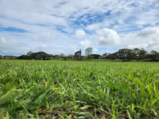 Kalinga Park Playground 20250824 022456 012