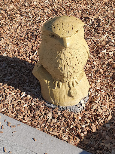 Kellett Reserve Playground 20250824 032352 004