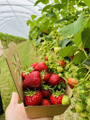 Kenyon Hall Farm 20250808 164431 003