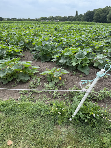 Kenyon Hall Farm 20250808 164432 004