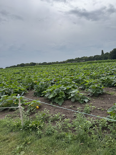 Kenyon Hall Farm 20250808 164433 005