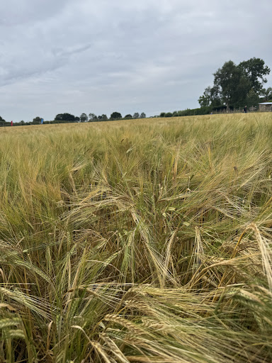 Kenyon Hall Farm 20250808 164436 009