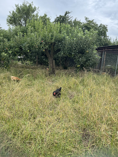 Kenyon Hall Farm 20250808 164437 010