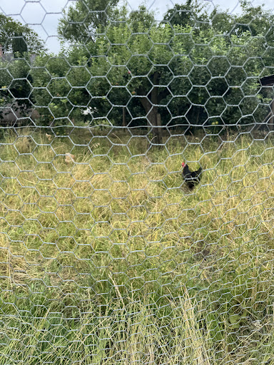 Kenyon Hall Farm 20250808 164439 012