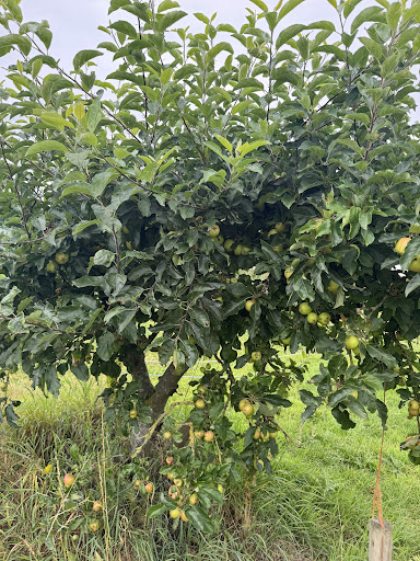 Kenyon Hall Farm 20250808 164440 013