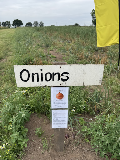 Kenyon Hall Farm 20250808 164441 014