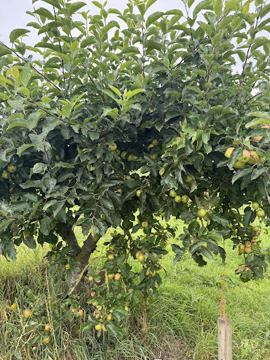 Kenyon Hall Farm 20250808 164441 015