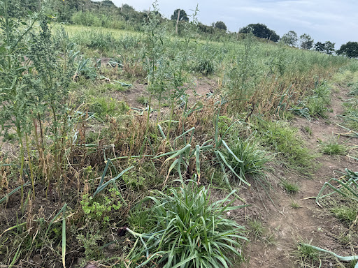 Kenyon Hall Farm 20250808 164443 017