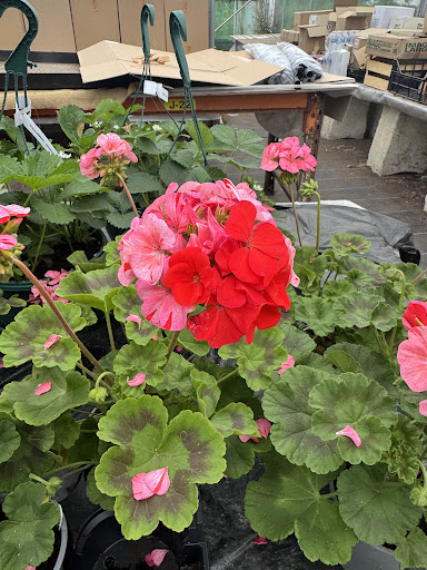 Kenyon Hall Farm 20250808 164444 018