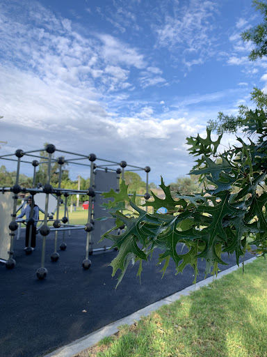 Kevin Adlard Reserve Playground 20250824 011516 001