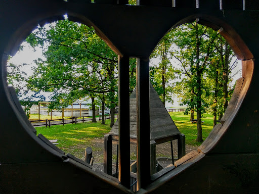 Kid s Kingdom Mora Lion s Park 20250727 085409 020