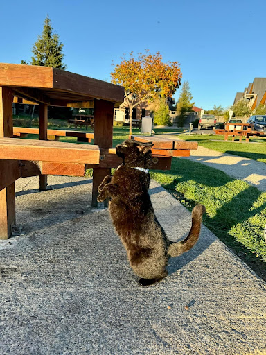 Kid s Playground 20250818 171132 002