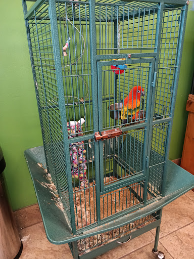 Kiddie Jungle 20250727 105510 019