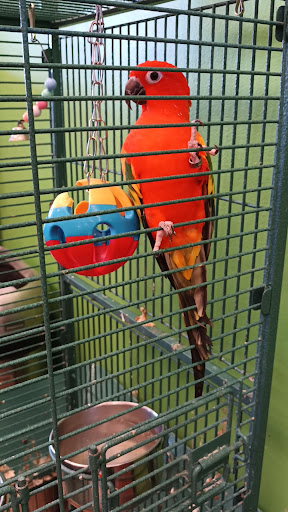 Kiddie Jungle 20250727 105511 020