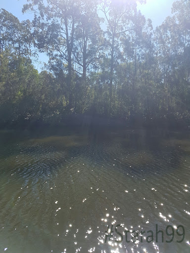 Killarney Crescent Park Playground 20250824 022144 003