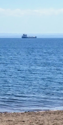 Kirkcaldy Beach 20250808 150330 004