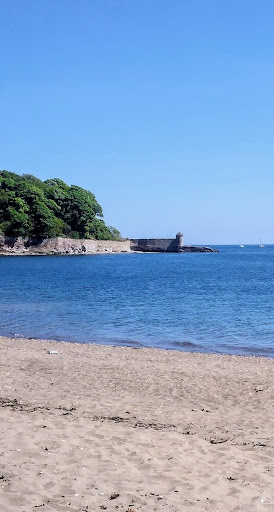 Kirkcaldy Beach 20250808 150331 005